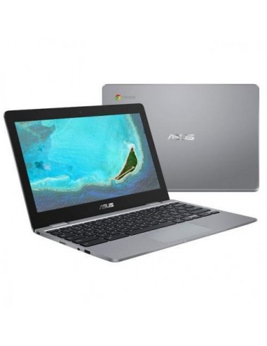 ASUS C223NA-GJ0055